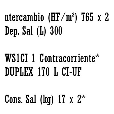 DESCALCIFICADOR DUPLEX 170 litros CLACK WS1" − UF