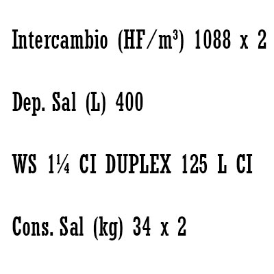 DESCALCIFICADOR DUPLEX 170 litros CLACK WS 1 1/4"