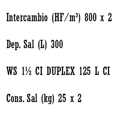 DESCALCIFICADOR DULPEX 125 litros CLACK WS 1 1/2"